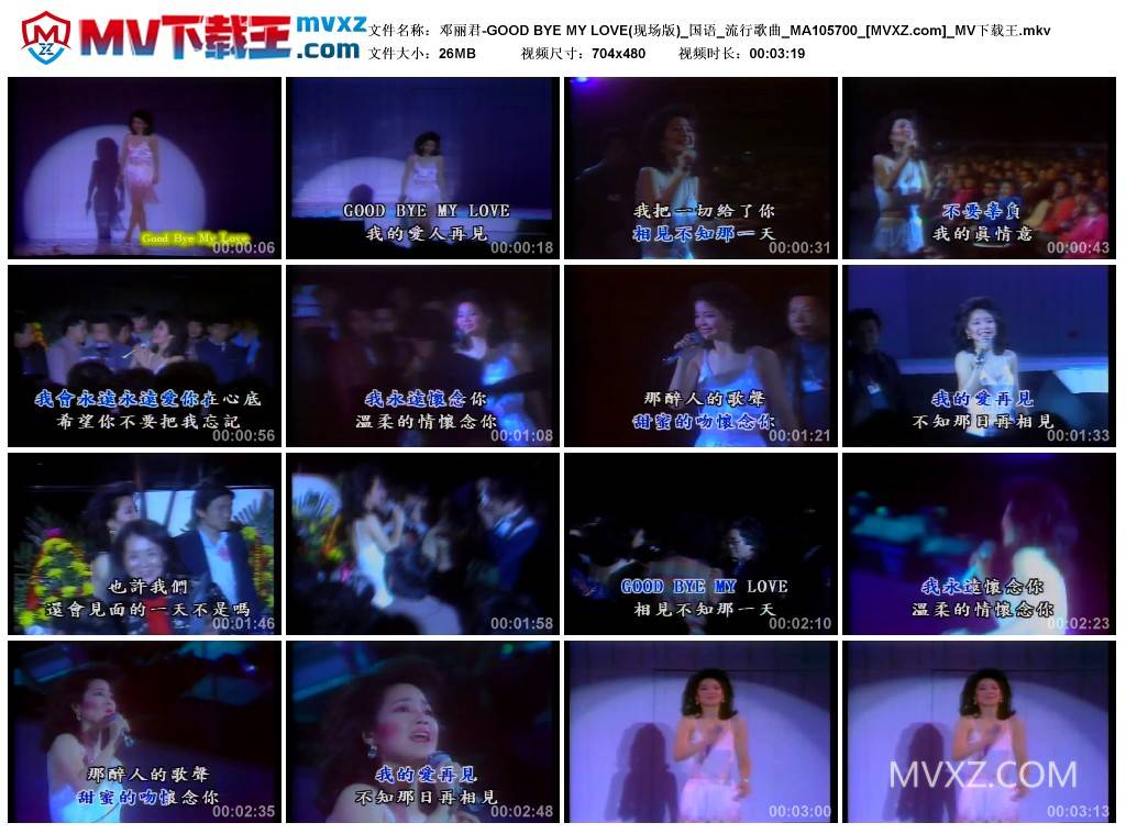 邓丽君-GOOD BYE MY LOVE(现场版)_国语_流行歌曲_MA105700